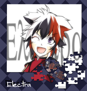 intro-elec.jpg